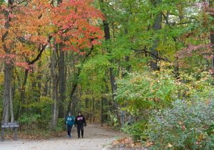 Recognizing the rights of nature