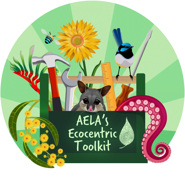 Ecocentric Toolkit Graphic
